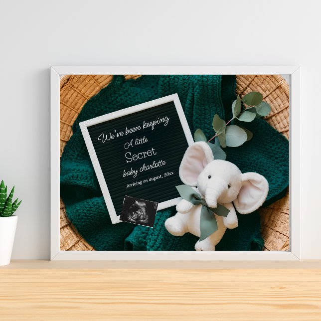 A cozy Neutral basket pregnancy announcement  Poster (Creator Uploaded)