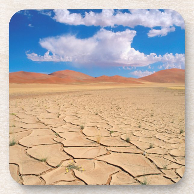 A cracked desert plain drink coaster (Front)