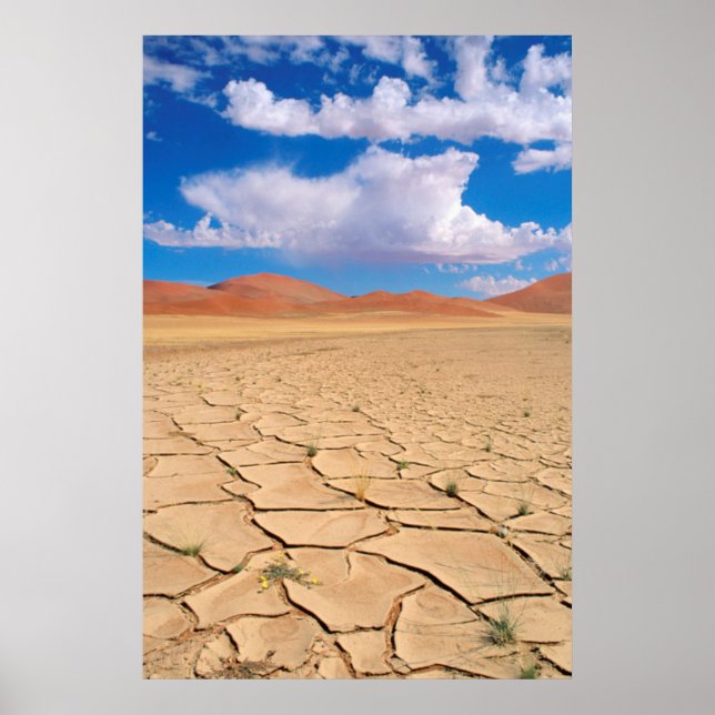 A cracked desert plain poster (Front)