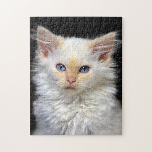 A Cream Siamese Kitten With Red Points Jigsaw Puzzle