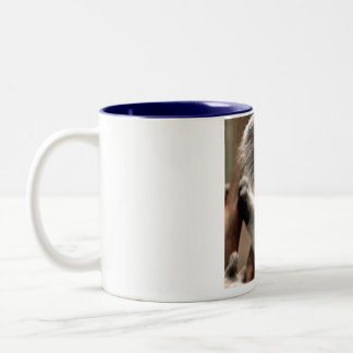 a cup image of  loved puppy