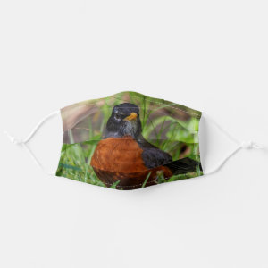A Curious American Robin in the Long Grass Adult Cloth Face Mask