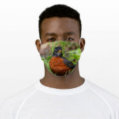A Curious American Robin in the Long Grass Adult Cloth Face Mask (Worn)