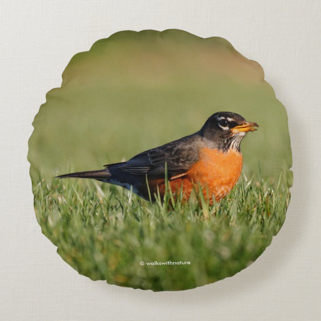 A Curious American Robin Round Pillow (Front)