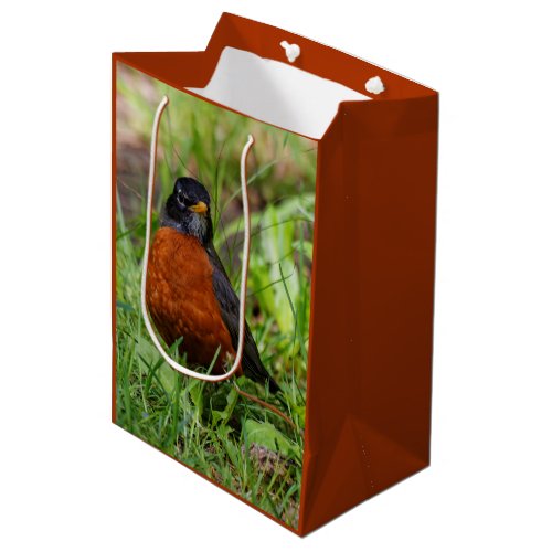 A Curious and Hopeful American Robin Medium Gift Bag
