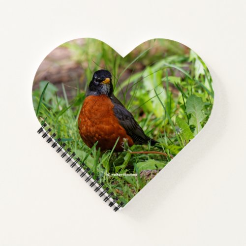 A Curious and Hopeful American Robin Notebook