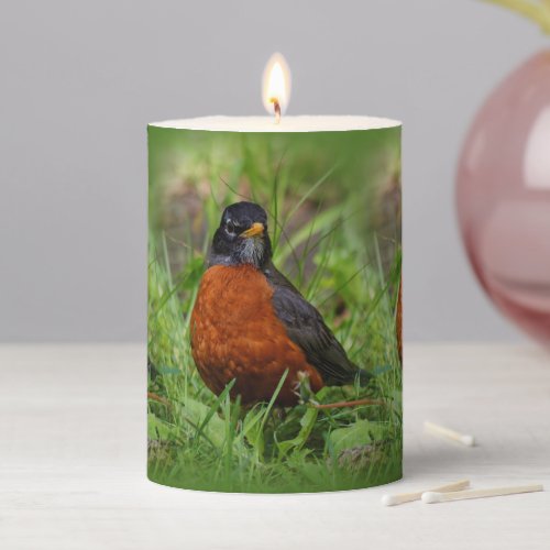 A Curious and Hopeful American Robin Pillar Candle