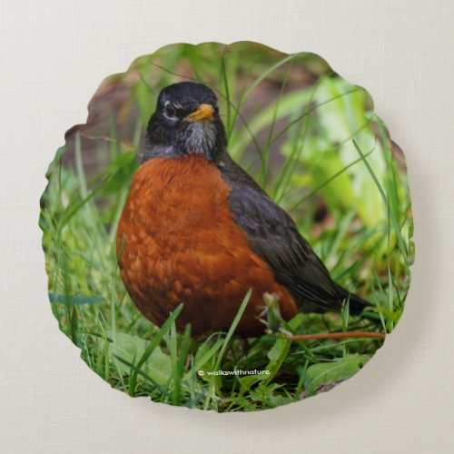 A Curious and Hopeful American Robin Round Pillow
