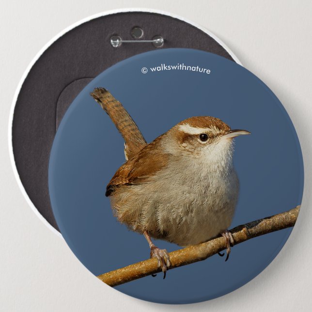 A Curious Bewick's Wren in the Tree Button (Front & Back)