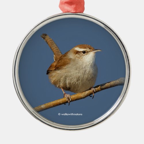 A Curious Bewicks Wren in the Tree Metal Ornament