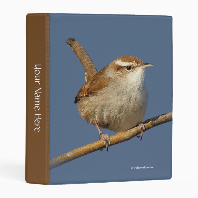 A Curious Bewick's Wren in the Tree Mini Binder (Front/Spine)