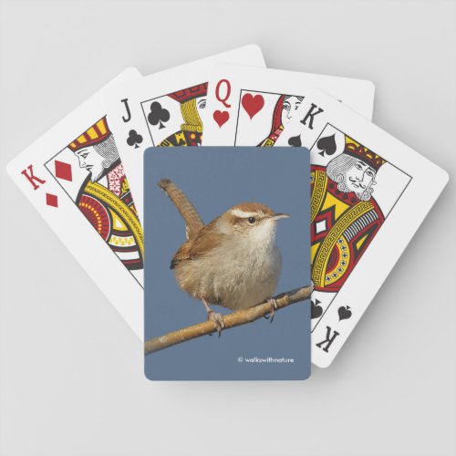 A Curious Bewicks Wren in the Tree Playing Cards