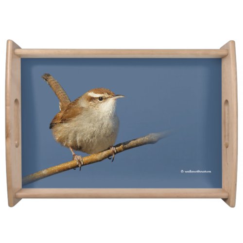 A Curious Bewicks Wren in the Tree Serving Tray