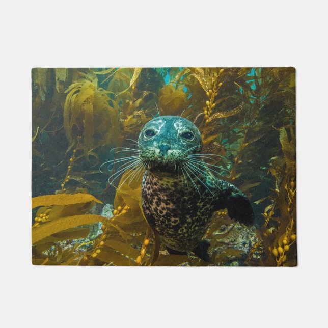 A Curious Harbor Seal Kelp Forest | Santa Barbara Doormat (Front)