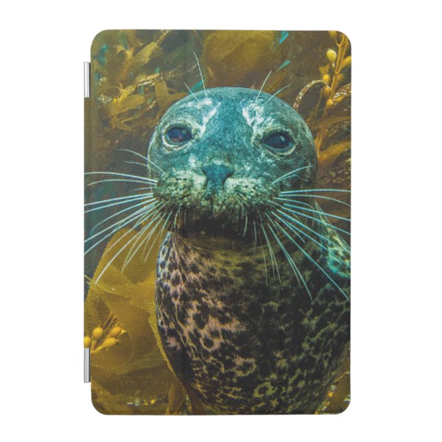 A Curious Harbor Seal Kelp Forest | Santa Barbara iPad Mini Cover (Front)