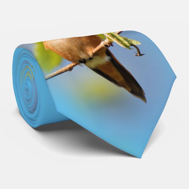 A Curious Rufous Hummingbird Neck Tie (Rolled)