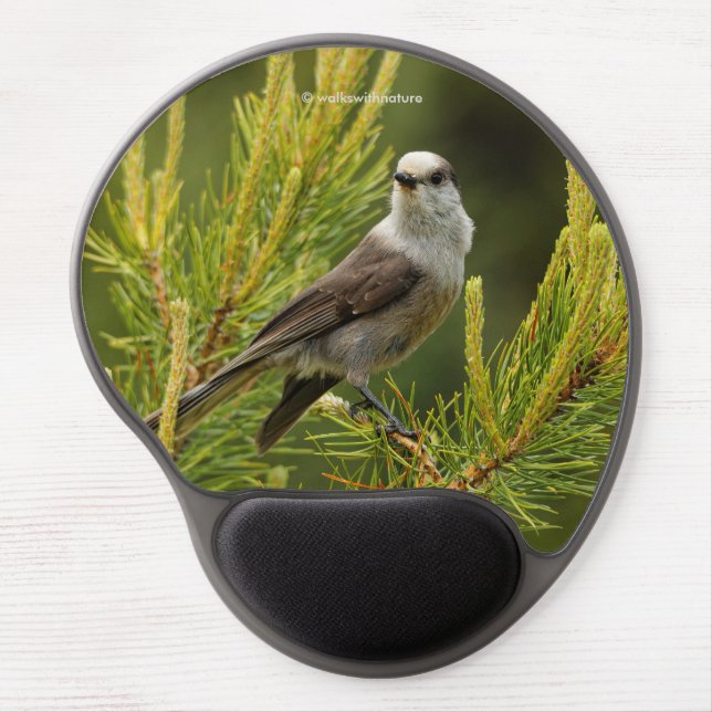 A Cute and Curious Grey Jay / Whiskeyjack Gel Mouse Pad (Front)