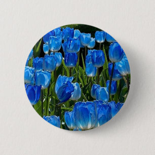 A cute and elegant blue flower brooch button