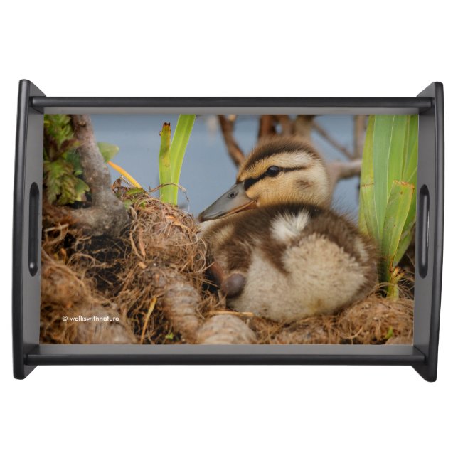 A Cute and Precocious Mallard Duckling Serving Tray (Front)