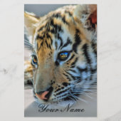 A cute baby tiger (Front)