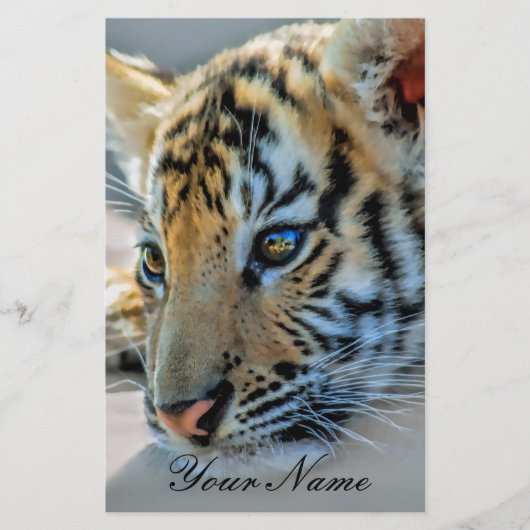 A cute baby tiger (Front)