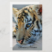 A cute baby tiger (Front/Back)