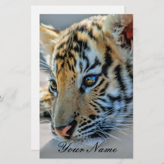 A cute baby tiger (Front/Back)