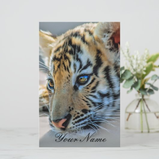 A cute baby tiger (Standing Front)