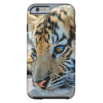 A Cute Baby Tiger Tough Iphone 6 Case by laureenr at Zazzle