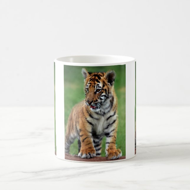 A cute baby tiger coffee mug (Center)