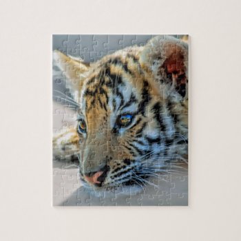 A Cute Baby Tiger Jigsaw Puzzle by laureenr at Zazzle