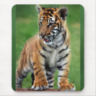 A cute baby tiger mouse pad