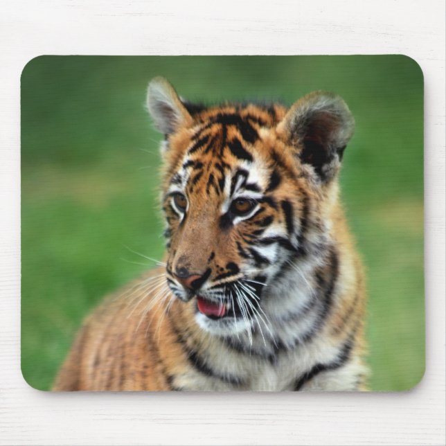 A cute baby tiger mouse pad (Front)