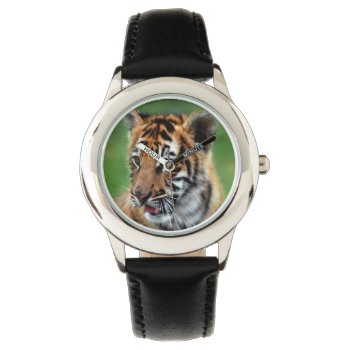 A Cute Baby Tiger Watch by laureenr at Zazzle