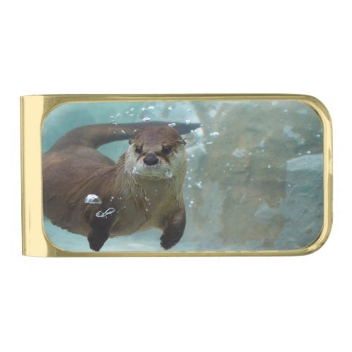 A cute Brown otter swimming in a clear blue pool Gold Finish Money Clip