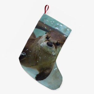 A cute Brown otter swimming in a clear blue pool Small Christmas Stocking