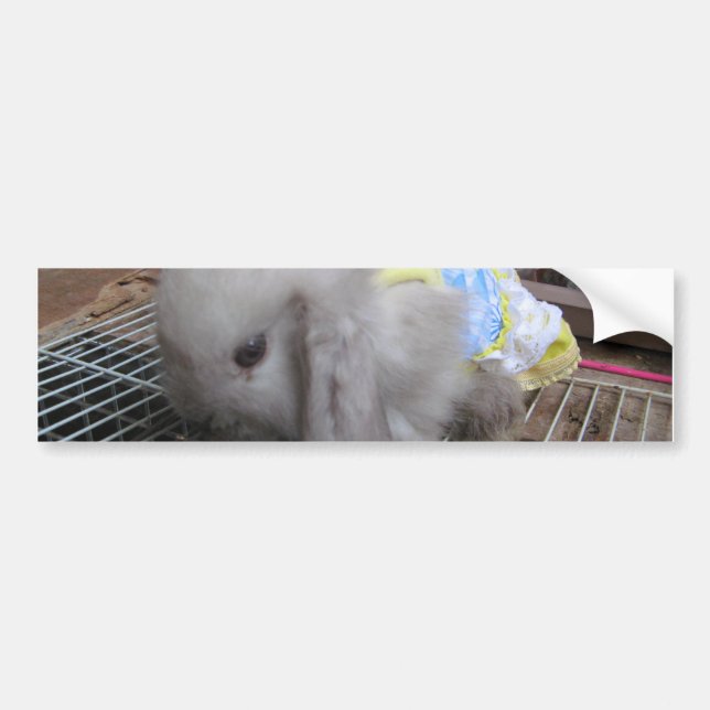 A Cute Bunny Rabbit in a Dress Bumper Sticker (Front)