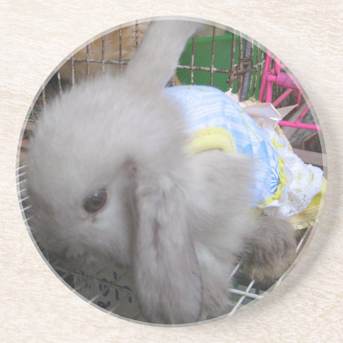 A Cute Bunny Rabbit in a Dress Coasters