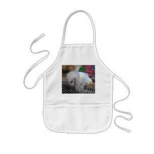 A Cute Bunny Rabbit in a Dress Kids' Apron