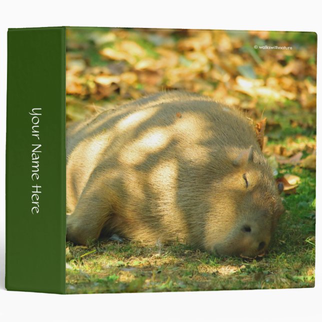 A Cute Capybara Dreams in the Summer Sun 3 Ring Binder (Front/Spine)