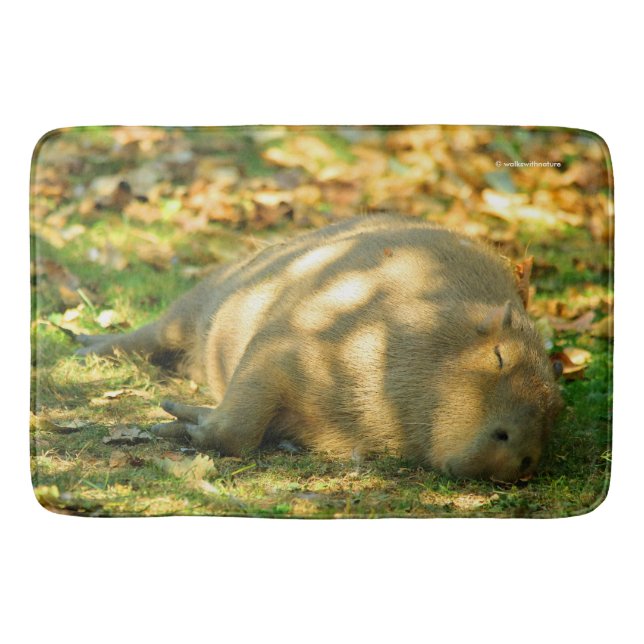 A Cute Capybara Dreams in the Summer Sun Bathroom Mat (Front)