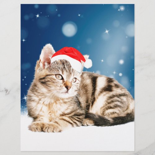 A Cute Cat wearing red Santa hat Christmas Snow