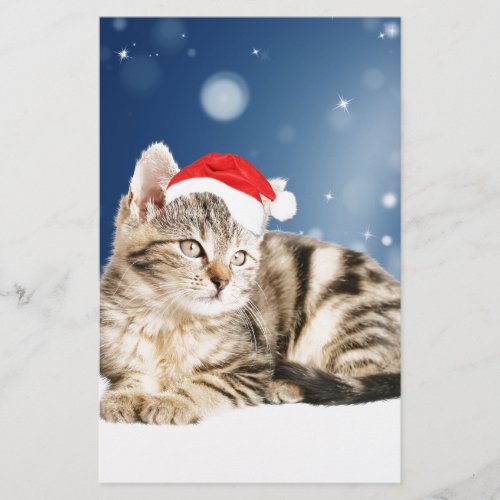 A Cute Cat wearing red Santa hat Christmas Snow Stationery