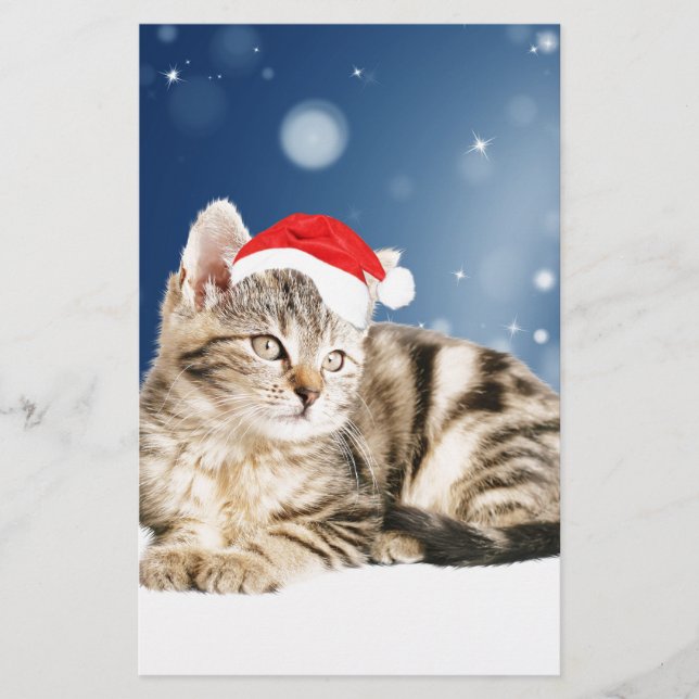 A Cute Cat wearing red Santa hat Christmas Snow Stationery (Front)