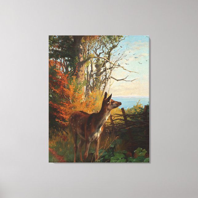A Cute Deer In The Forest Canvas Print (Front)