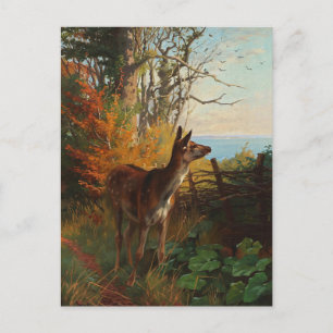 A Cute Deer In The Forest Postcard