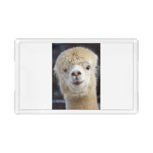A cute fluffy face of an alpaca      acrylic tray
