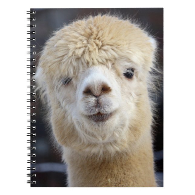 A cute fluffy face of an alpaca       notebook (Front)