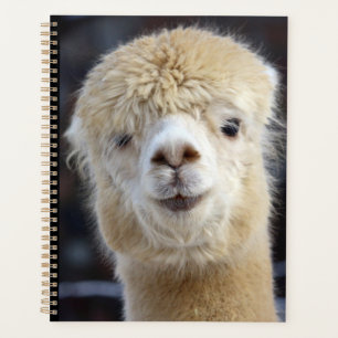 A cute fluffy face of an alpaca    planner