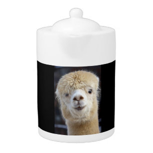 A cute fluffy face of an alpaca teapot